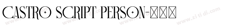 Castro Script PERSON字体转换